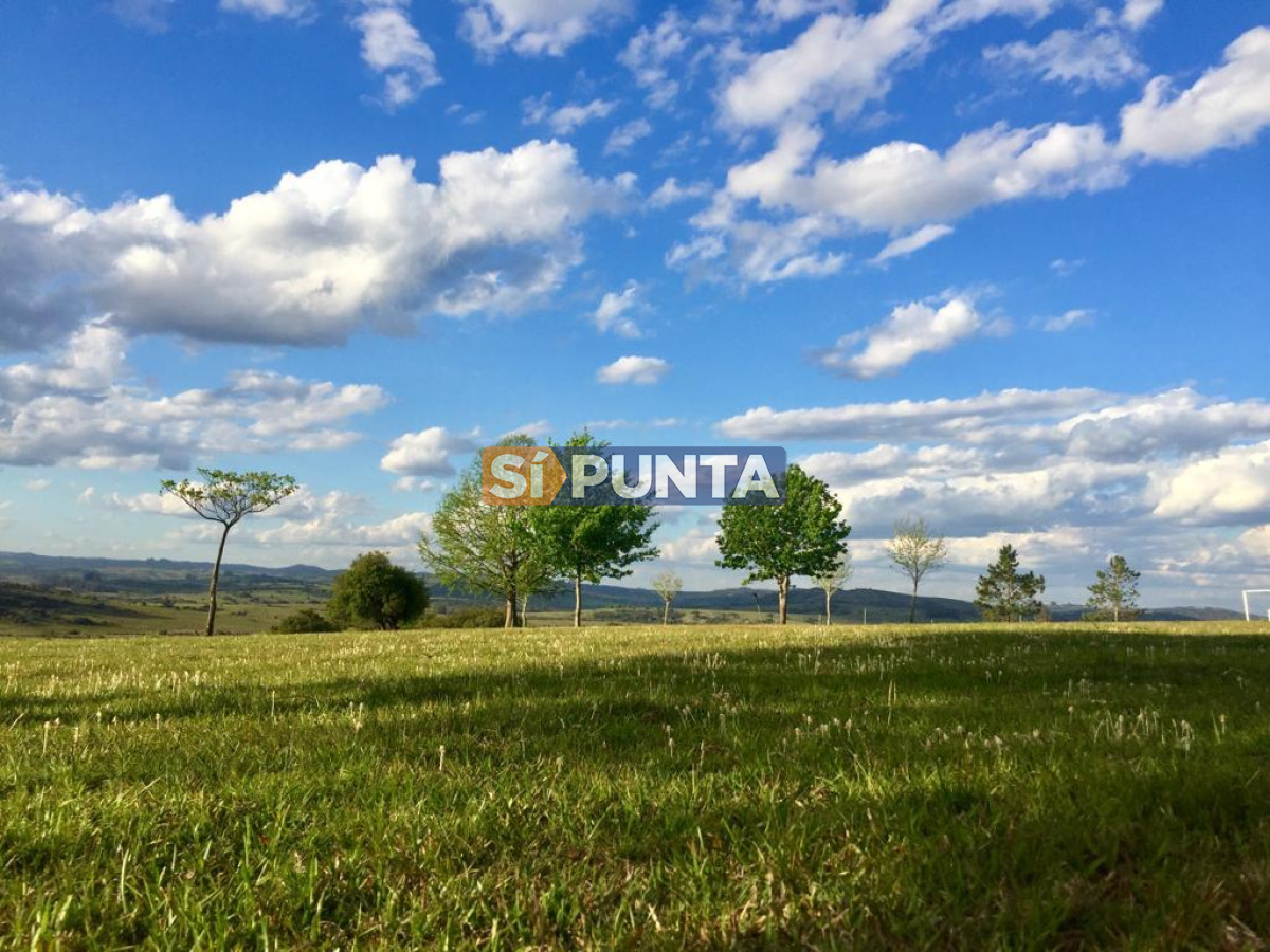 Chacra ID.9836 - MALDONADO EXCELENTE CHACRA DE 10 HAS CON CASA PRINCIPAL, DE SERVICIO Y DE HUESPEDES, PISCINA CLIMATIZADA