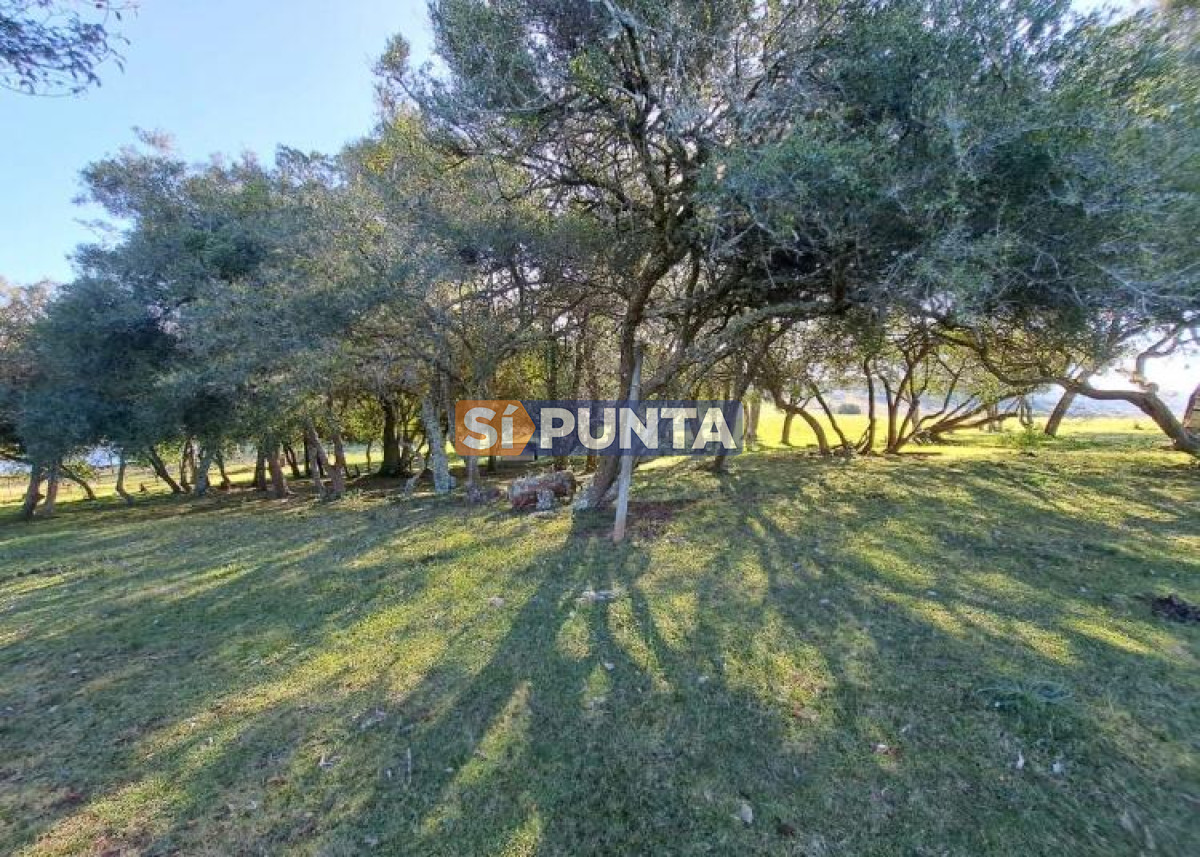 Chacra ID.9836 - MALDONADO EXCELENTE CHACRA DE 10 HAS CON CASA PRINCIPAL, DE SERVICIO Y DE HUESPEDES, PISCINA CLIMATIZADA