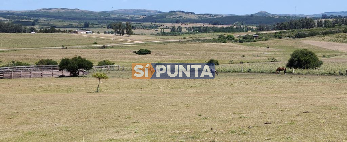 Chacra ID.9836 - MALDONADO EXCELENTE CHACRA DE 10 HAS CON CASA PRINCIPAL, DE SERVICIO Y DE HUESPEDES, PISCINA CLIMATIZADA