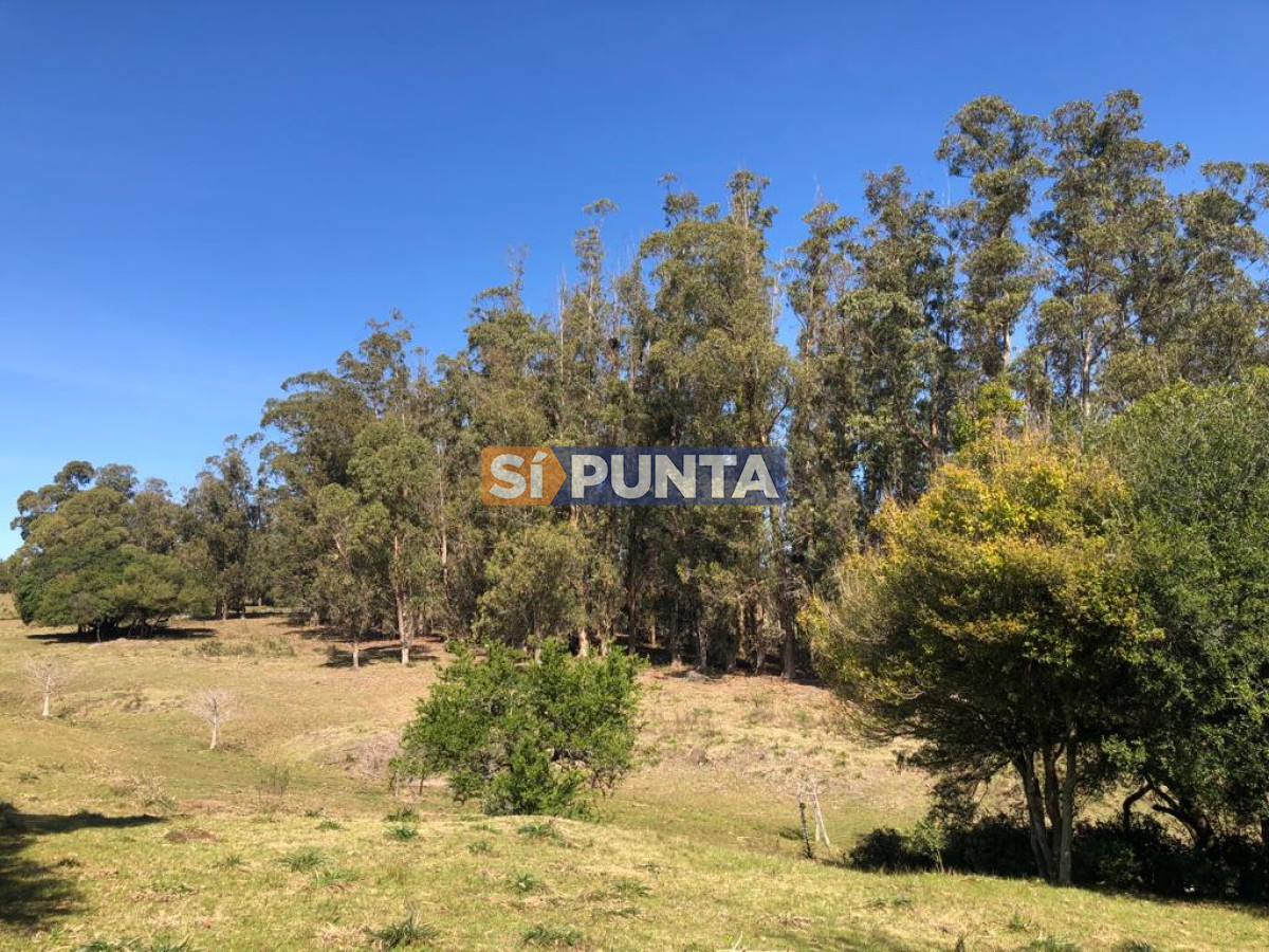 Chacra ID.9836 - MALDONADO EXCELENTE CHACRA DE 10 HAS CON CASA PRINCIPAL, DE SERVICIO Y DE HUESPEDES, PISCINA CLIMATIZADA