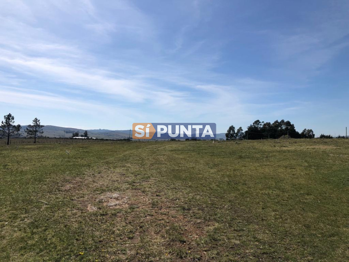 Chacra ID.9836 - MALDONADO EXCELENTE CHACRA DE 10 HAS CON CASA PRINCIPAL, DE SERVICIO Y DE HUESPEDES, PISCINA CLIMATIZADA