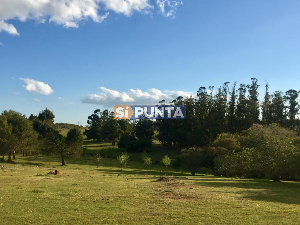 Chacra ID.9836 - MALDONADO EXCELENTE CHACRA DE 10 HAS CON CASA PRINCIPAL, DE SERVICIO Y DE HUESPEDES, PISCINA CLIMATIZADA