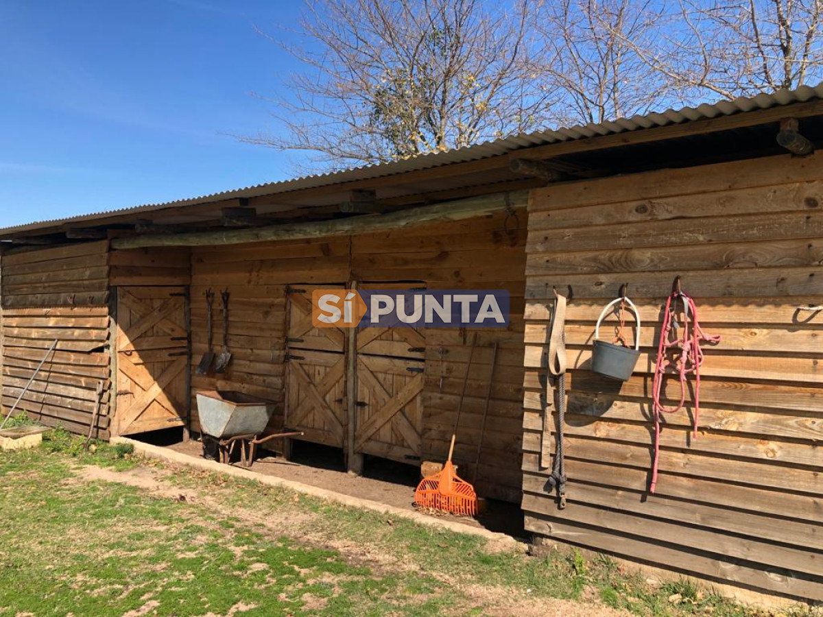 Chacra ID.9836 - MALDONADO EXCELENTE CHACRA DE 10 HAS CON CASA PRINCIPAL, DE SERVICIO Y DE HUESPEDES, PISCINA CLIMATIZADA