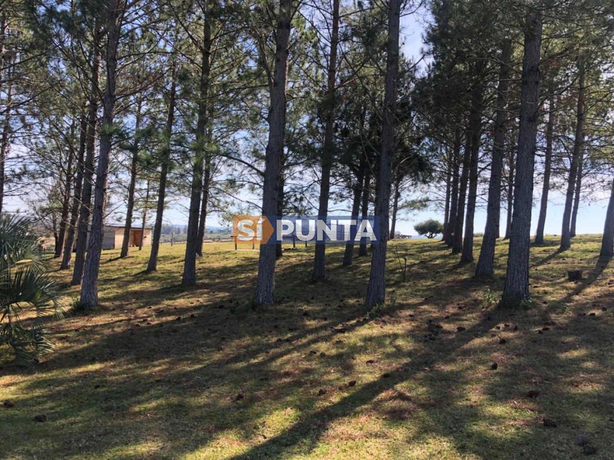 Chacra ID.9836 - MALDONADO EXCELENTE CHACRA DE 10 HAS CON CASA PRINCIPAL, DE SERVICIO Y DE HUESPEDES, PISCINA CLIMATIZADA