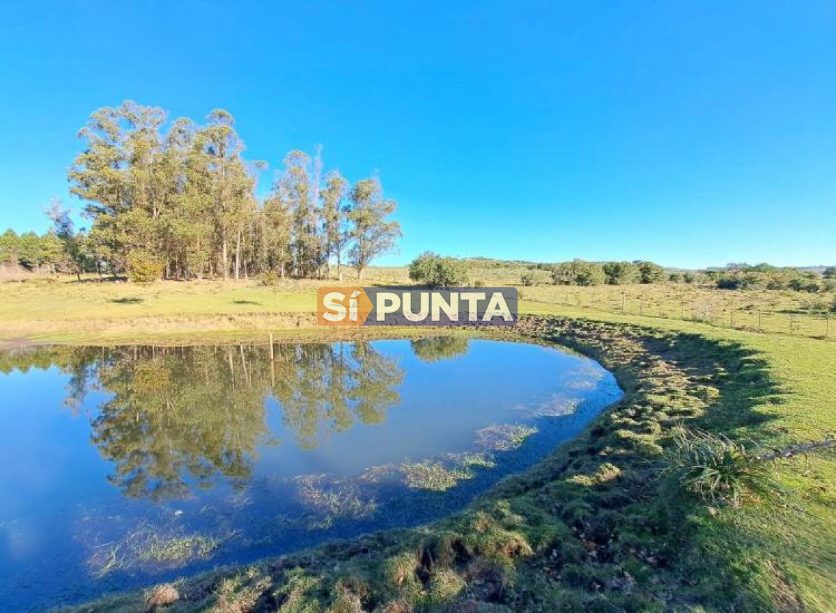 Chacra ID.9836 - MALDONADO EXCELENTE CHACRA DE 10 HAS CON CASA PRINCIPAL, DE SERVICIO Y DE HUESPEDES, PISCINA CLIMATIZADA