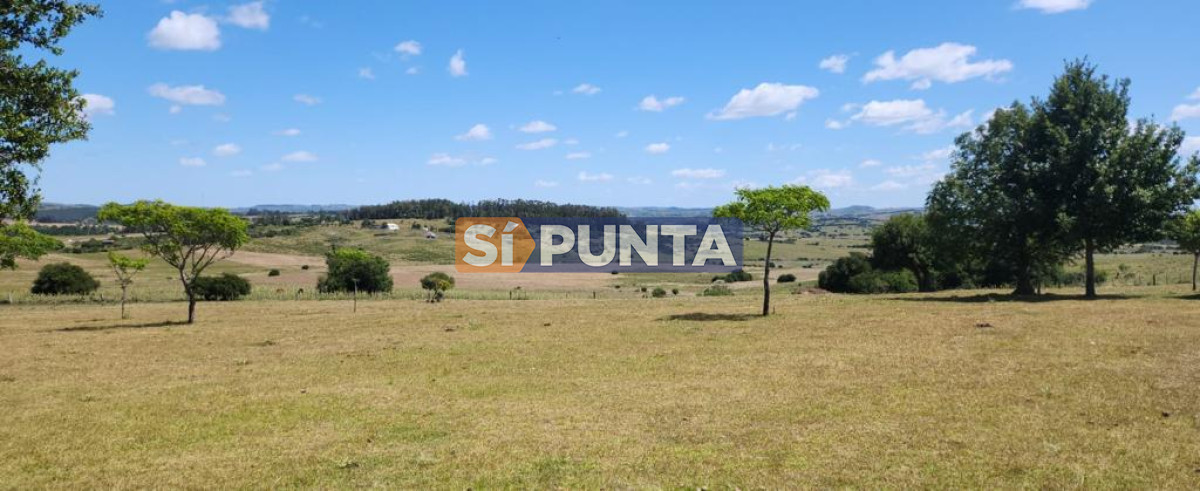 Chacra ID.9836 - MALDONADO EXCELENTE CHACRA DE 10 HAS CON CASA PRINCIPAL, DE SERVICIO Y DE HUESPEDES, PISCINA CLIMATIZADA