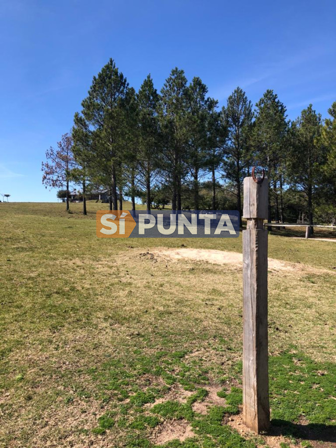 Chacra ID.9836 - MALDONADO EXCELENTE CHACRA DE 10 HAS CON CASA PRINCIPAL, DE SERVICIO Y DE HUESPEDES, PISCINA CLIMATIZADA