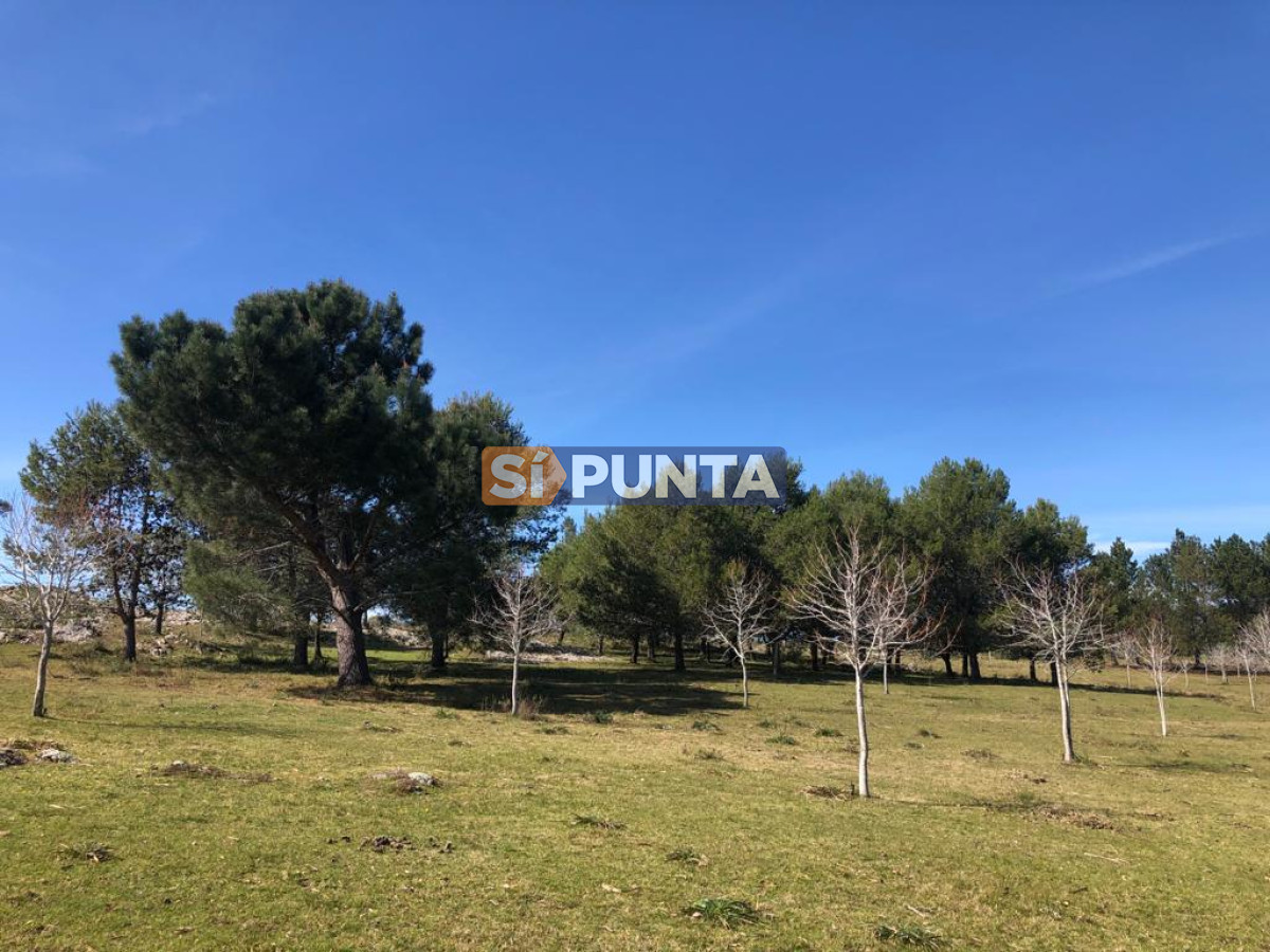 Chacra ID.9836 - MALDONADO EXCELENTE CHACRA DE 10 HAS CON CASA PRINCIPAL, DE SERVICIO Y DE HUESPEDES, PISCINA CLIMATIZADA