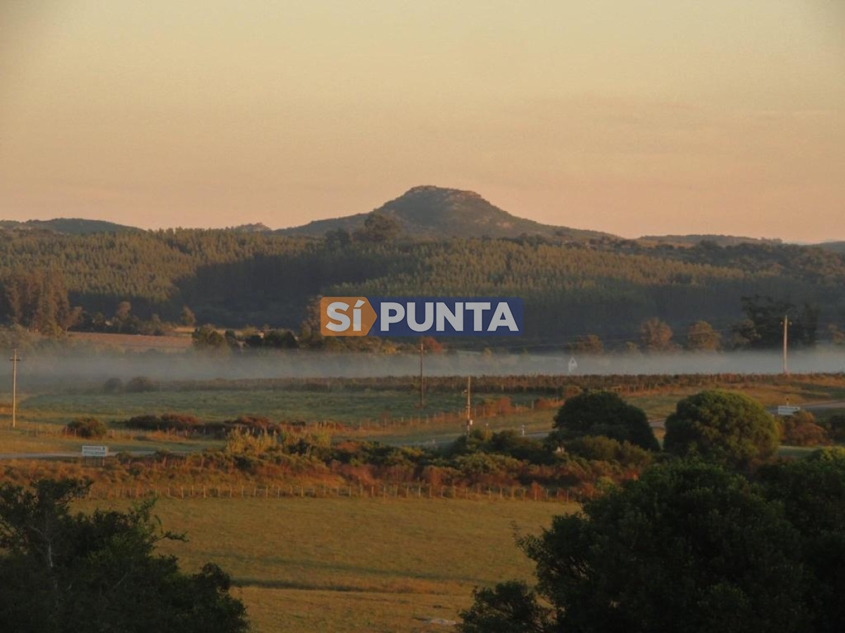 Chacra ID.9836 - MALDONADO EXCELENTE CHACRA DE 10 HAS CON CASA PRINCIPAL, DE SERVICIO Y DE HUESPEDES, PISCINA CLIMATIZADA