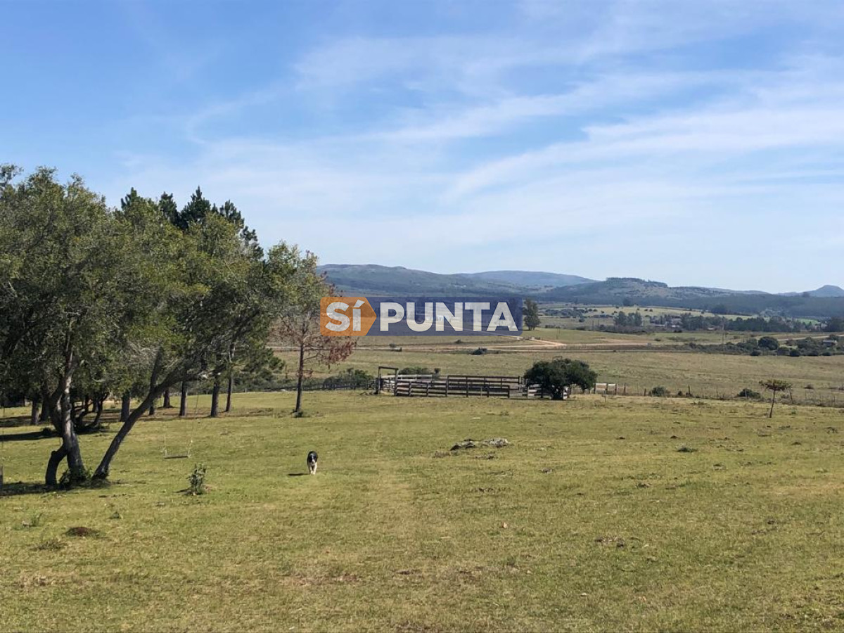 Chacra ID.9836 - MALDONADO EXCELENTE CHACRA DE 10 HAS CON CASA PRINCIPAL, DE SERVICIO Y DE HUESPEDES, PISCINA CLIMATIZADA