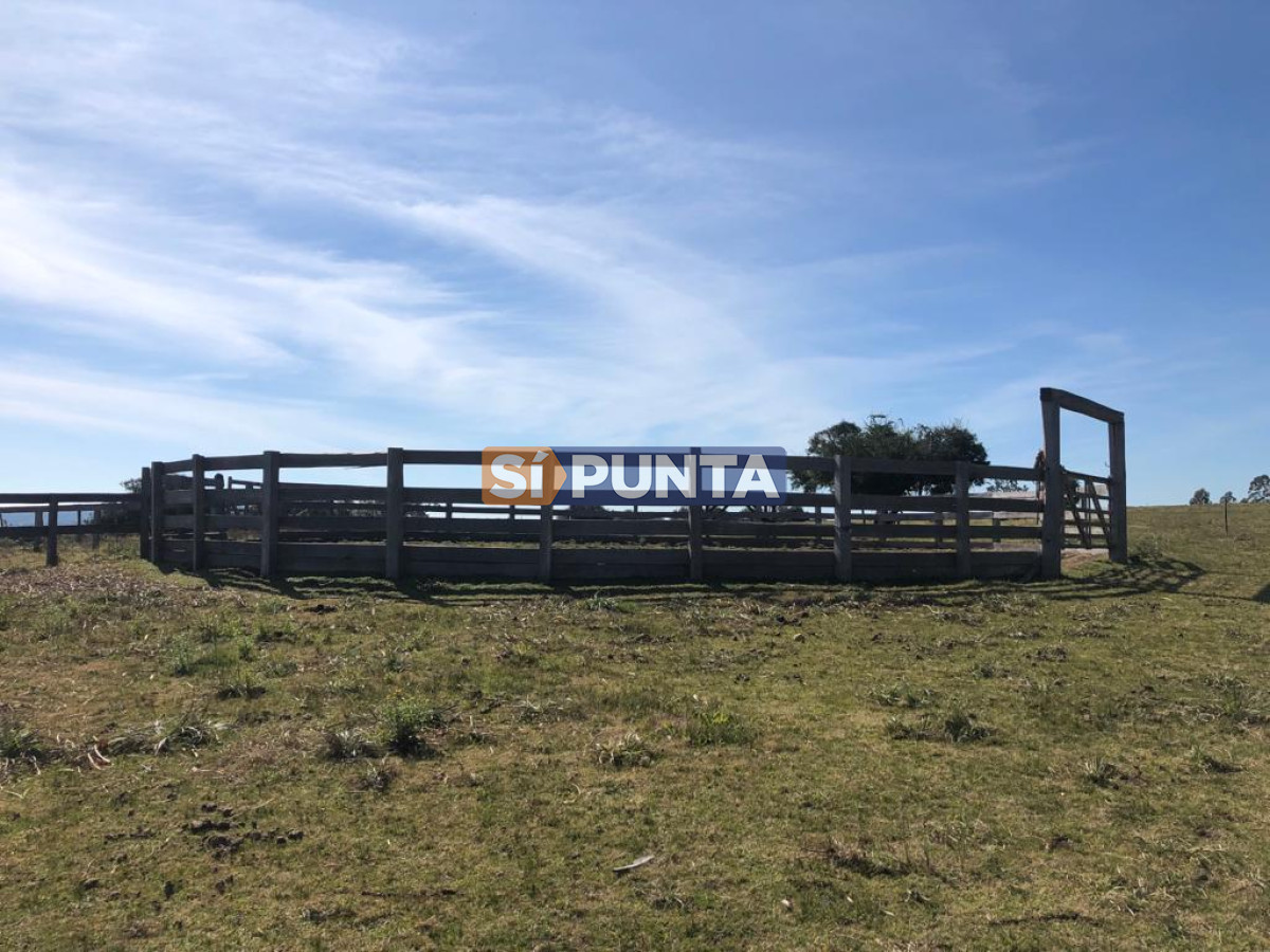 Chacra ID.9836 - MALDONADO EXCELENTE CHACRA DE 10 HAS CON CASA PRINCIPAL, DE SERVICIO Y DE HUESPEDES, PISCINA CLIMATIZADA