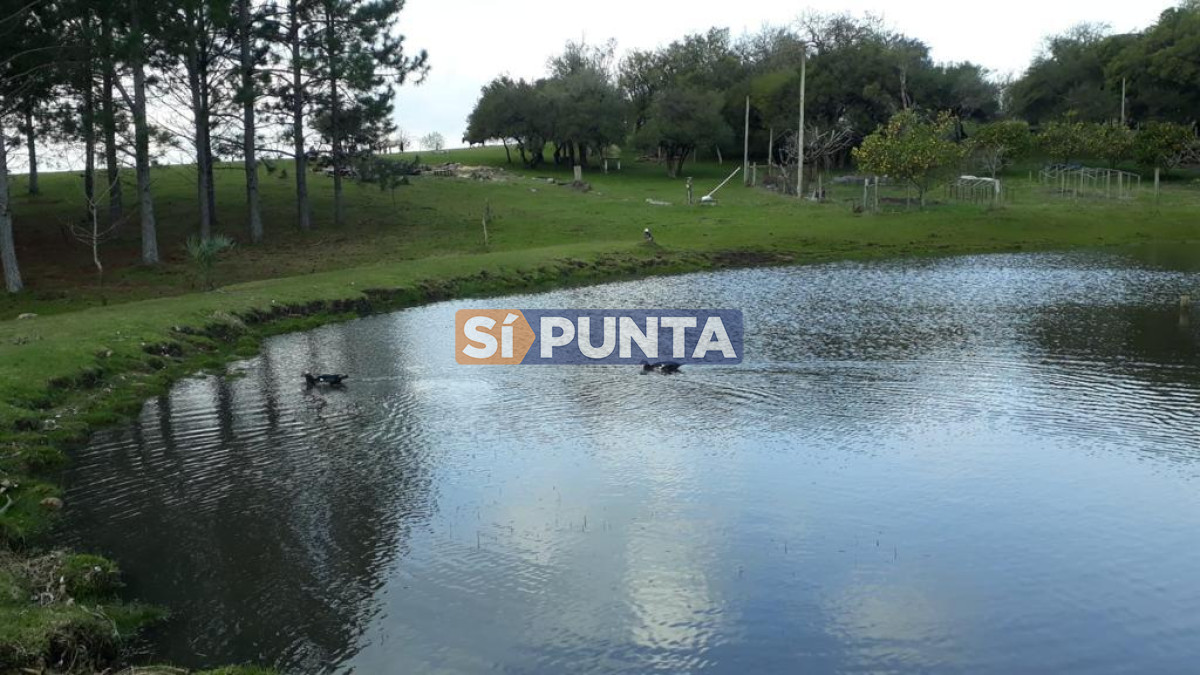 Chacra ID.9836 - MALDONADO EXCELENTE CHACRA DE 10 HAS CON CASA PRINCIPAL, DE SERVICIO Y DE HUESPEDES, PISCINA CLIMATIZADA