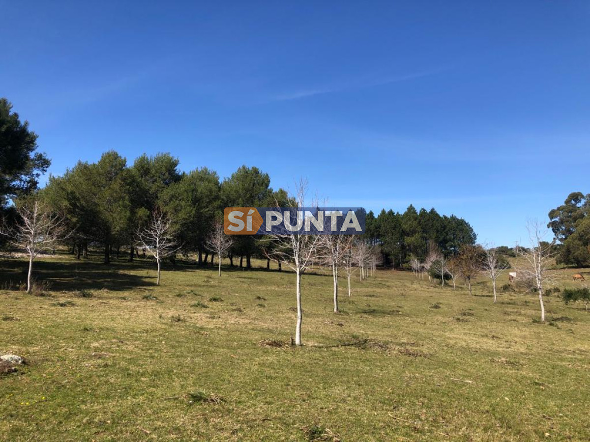 Chacra ID.9836 - MALDONADO EXCELENTE CHACRA DE 10 HAS CON CASA PRINCIPAL, DE SERVICIO Y DE HUESPEDES, PISCINA CLIMATIZADA