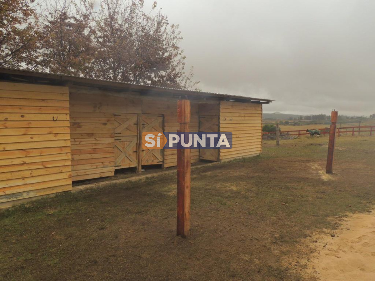 Chacra ID.9836 - MALDONADO EXCELENTE CHACRA DE 10 HAS CON CASA PRINCIPAL, DE SERVICIO Y DE HUESPEDES, PISCINA CLIMATIZADA