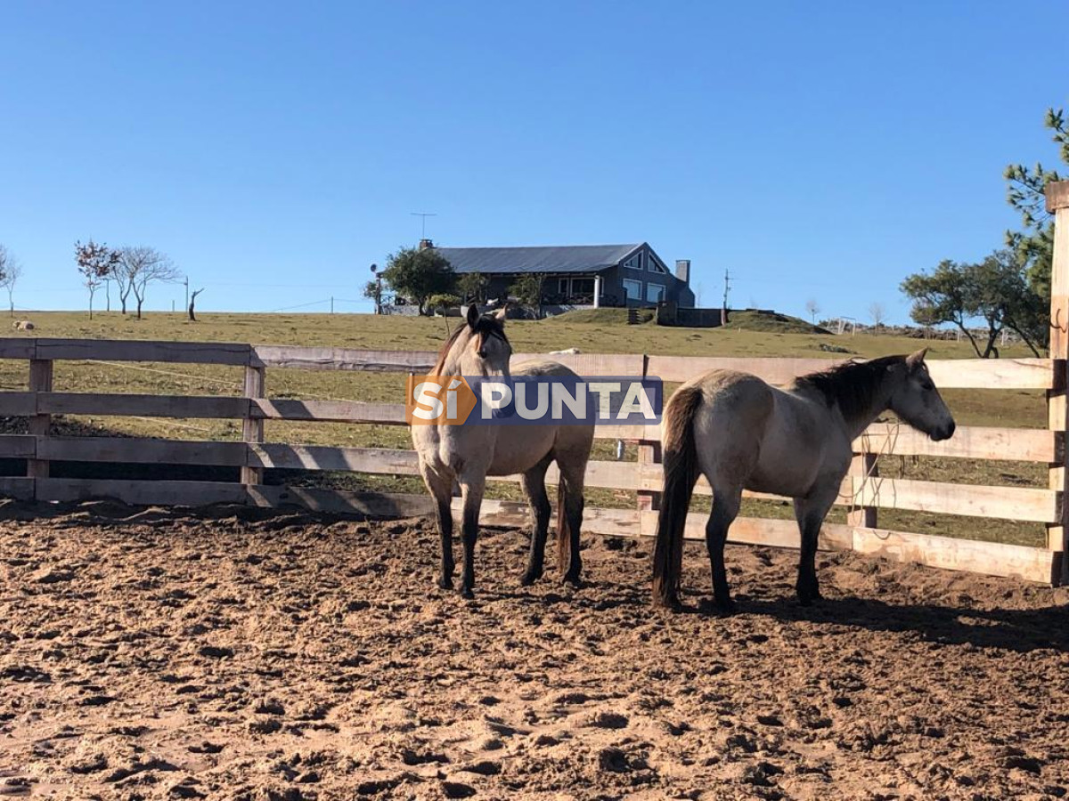 Chacra ID.9836 - MALDONADO EXCELENTE CHACRA DE 10 HAS CON CASA PRINCIPAL, DE SERVICIO Y DE HUESPEDES, PISCINA CLIMATIZADA