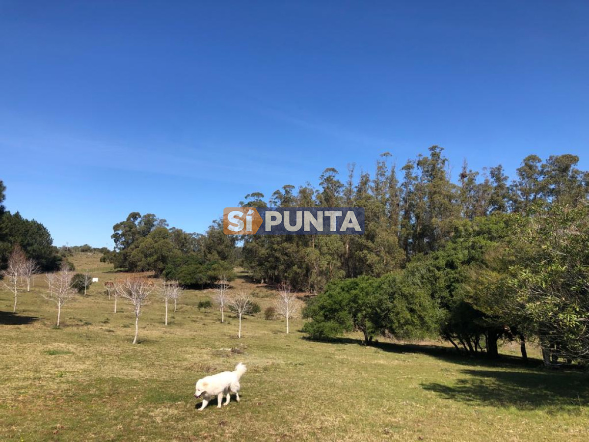 Chacra ID.9836 - MALDONADO EXCELENTE CHACRA DE 10 HAS CON CASA PRINCIPAL, DE SERVICIO Y DE HUESPEDES, PISCINA CLIMATIZADA