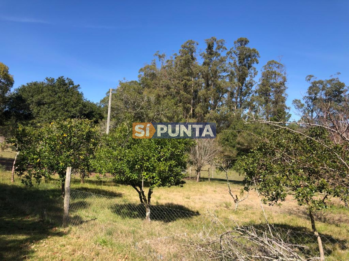 Chacra ID.9836 - MALDONADO EXCELENTE CHACRA DE 10 HAS CON CASA PRINCIPAL, DE SERVICIO Y DE HUESPEDES, PISCINA CLIMATIZADA