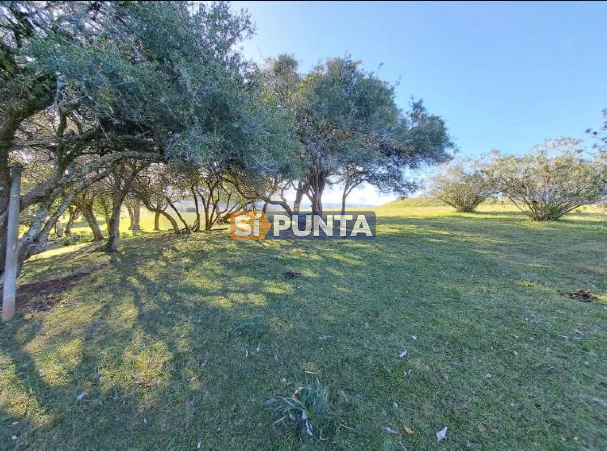 Chacra ID.9836 - MALDONADO EXCELENTE CHACRA DE 10 HAS CON CASA PRINCIPAL, DE SERVICIO Y DE HUESPEDES, PISCINA CLIMATIZADA