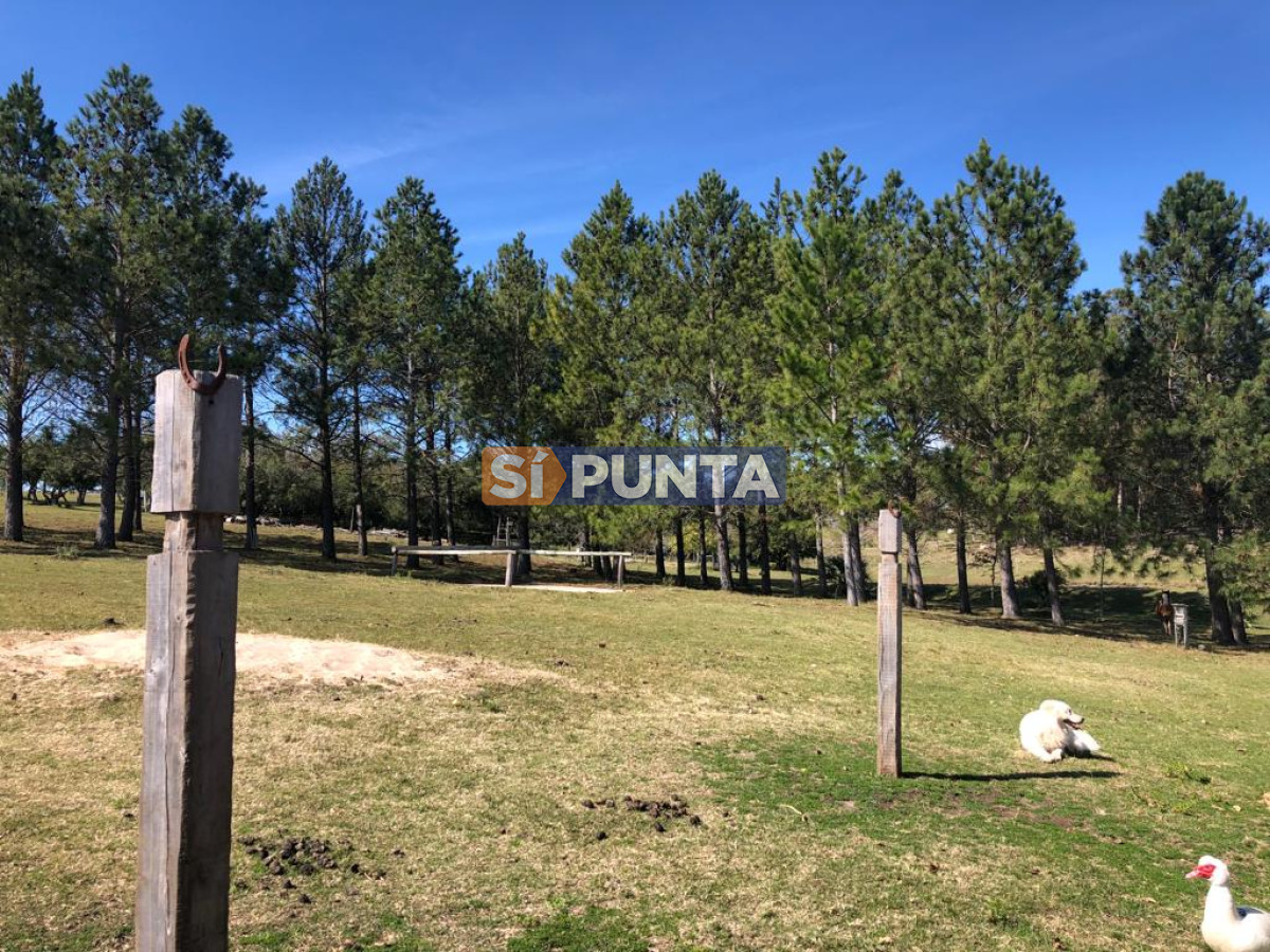 Chacra ID.9836 - MALDONADO EXCELENTE CHACRA DE 10 HAS CON CASA PRINCIPAL, DE SERVICIO Y DE HUESPEDES, PISCINA CLIMATIZADA