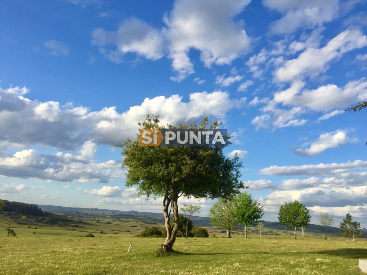 Chacra ID.9836 - MALDONADO EXCELENTE CHACRA DE 10 HAS CON CASA PRINCIPAL, DE SERVICIO Y DE HUESPEDES, PISCINA CLIMATIZADA