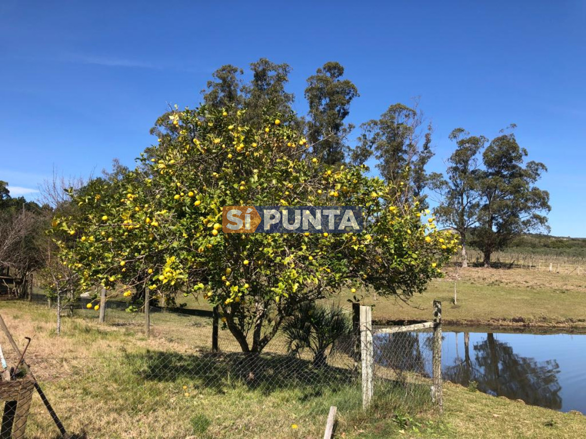 Chacra ID.9836 - MALDONADO EXCELENTE CHACRA DE 10 HAS CON CASA PRINCIPAL, DE SERVICIO Y DE HUESPEDES, PISCINA CLIMATIZADA