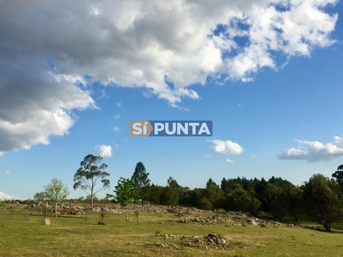 Chacra ID.9836 - MALDONADO EXCELENTE CHACRA DE 10 HAS CON CASA PRINCIPAL, DE SERVICIO Y DE HUESPEDES, PISCINA CLIMATIZADA