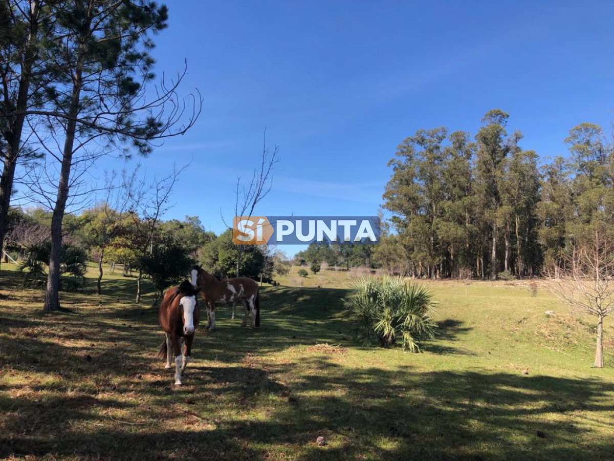 Chacra ID.9836 - MALDONADO EXCELENTE CHACRA DE 10 HAS CON CASA PRINCIPAL, DE SERVICIO Y DE HUESPEDES, PISCINA CLIMATIZADA