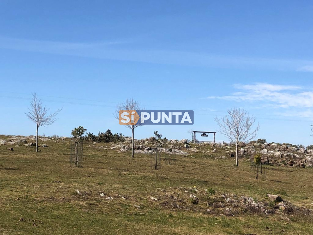 Chacra ID.9836 - MALDONADO EXCELENTE CHACRA DE 10 HAS CON CASA PRINCIPAL, DE SERVICIO Y DE HUESPEDES, PISCINA CLIMATIZADA