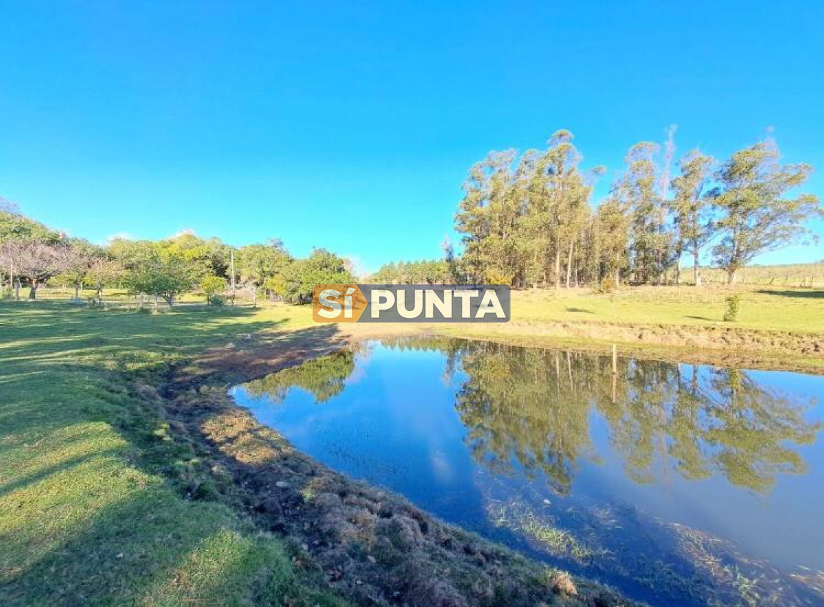 Chacra ID.9836 - MALDONADO EXCELENTE CHACRA DE 10 HAS CON CASA PRINCIPAL, DE SERVICIO Y DE HUESPEDES, PISCINA CLIMATIZADA