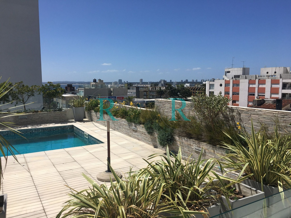 Apartamento ID.1831 - PUNTA DLE ESTE PENINSULA SOBRE GORLERO MONO AMBIENTE EDIFICIO CON SERVICIOS