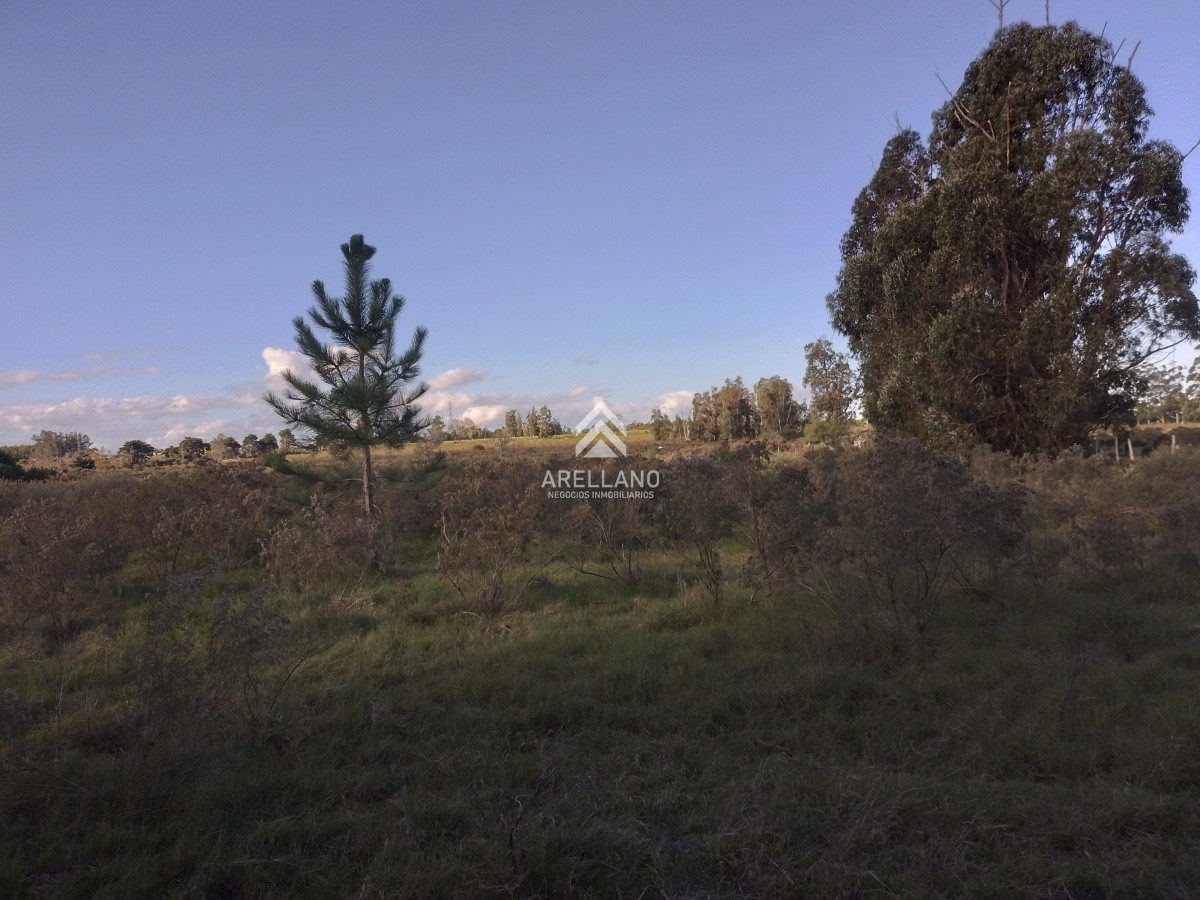 Chacra ID.1825 - Venta Chacra de 5 Has  Ruta 9