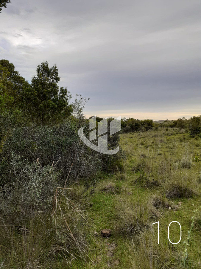 Chacra ID.1498 - CHACRAS EN VENTA 5 HAS A 30 KM DE SAN CARLOS RUTA 39 