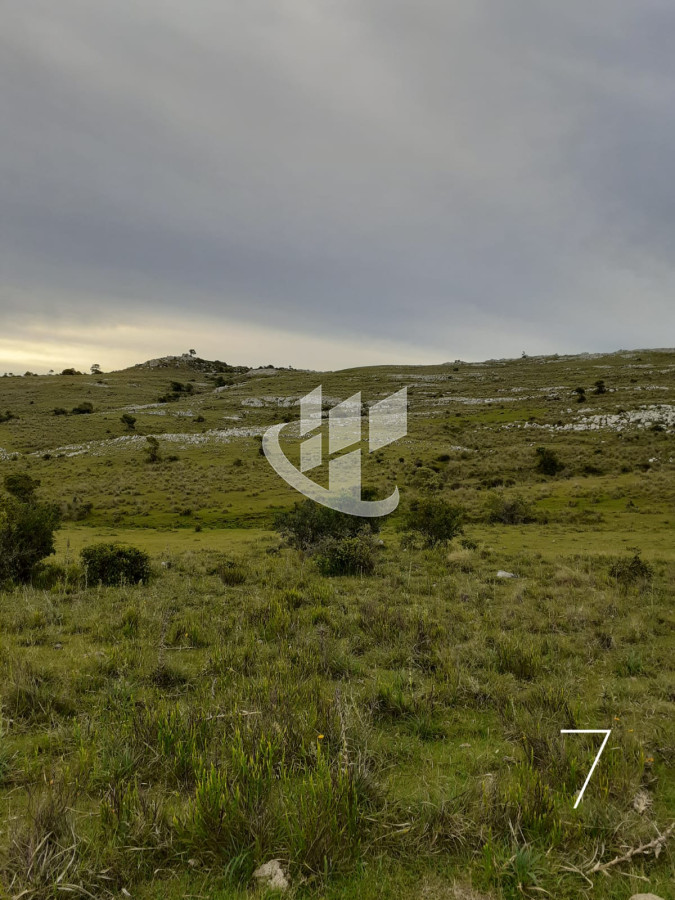 Chacra ID.1498 - CHACRAS EN VENTA 5 HAS A 30 KM DE SAN CARLOS RUTA 39 