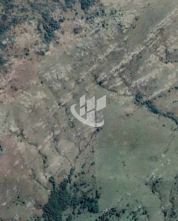 Chacra ID.1498 - CHACRAS EN VENTA 5 HAS A 30 KM DE SAN CARLOS RUTA 39 