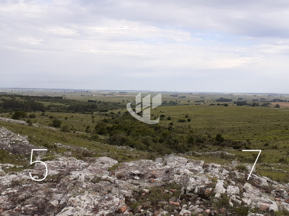 Chacra ID.1498 - CHACRAS EN VENTA 5 HAS A 30 KM DE SAN CARLOS RUTA 39 