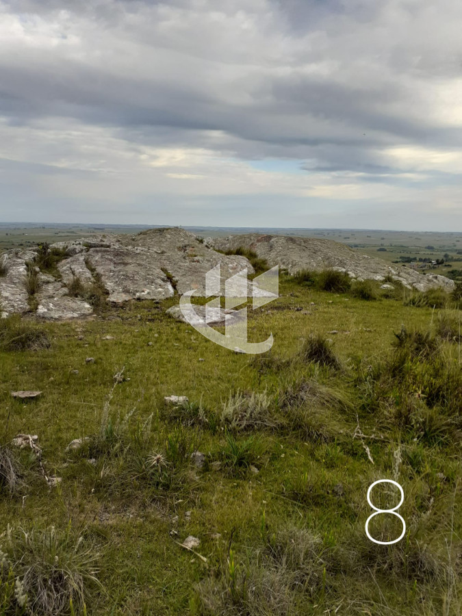 Chacra ID.1498 - CHACRAS EN VENTA 5 HAS A 30 KM DE SAN CARLOS RUTA 39 