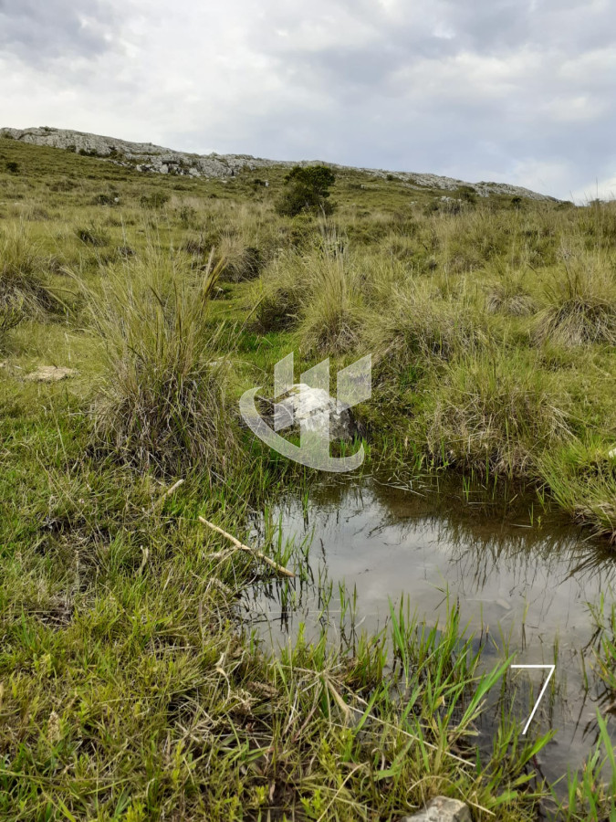 Chacra ID.1498 - CHACRAS EN VENTA 5 HAS A 30 KM DE SAN CARLOS RUTA 39 