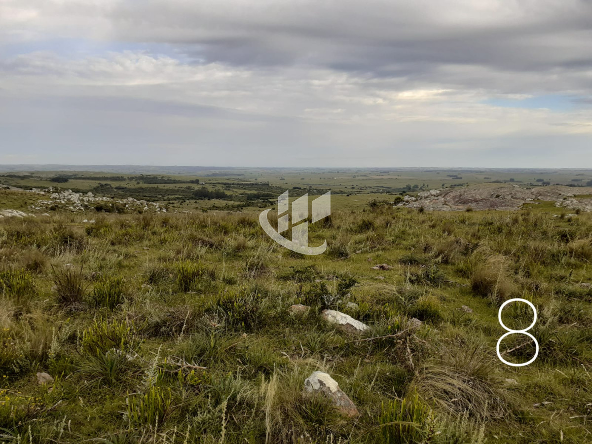 Chacra ID.1498 - CHACRAS EN VENTA 5 HAS A 30 KM DE SAN CARLOS RUTA 39 
