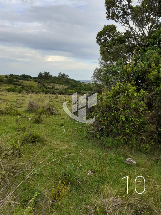 Chacra ID.1498 - CHACRAS EN VENTA 5 HAS A 30 KM DE SAN CARLOS RUTA 39 