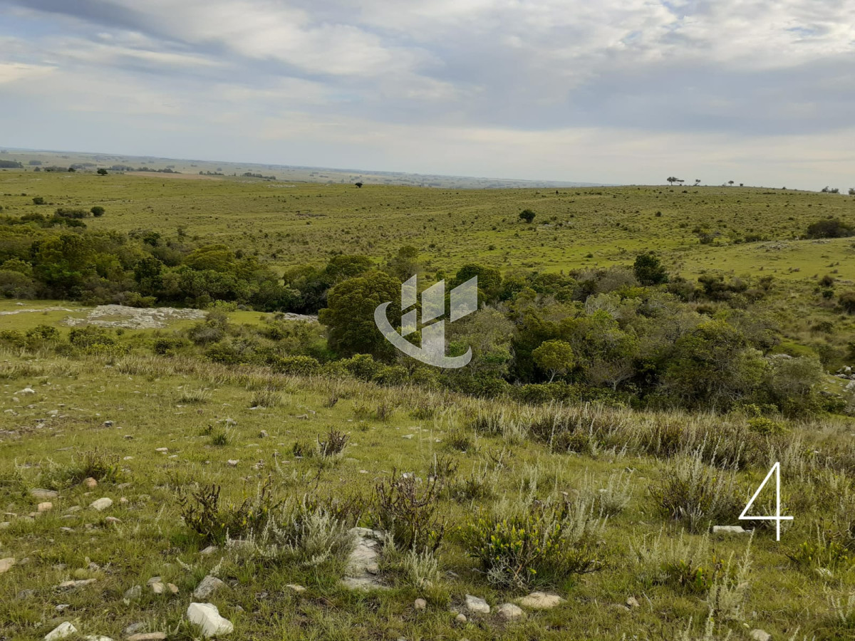 Chacra ID.1498 - CHACRAS EN VENTA 5 HAS A 30 KM DE SAN CARLOS RUTA 39 