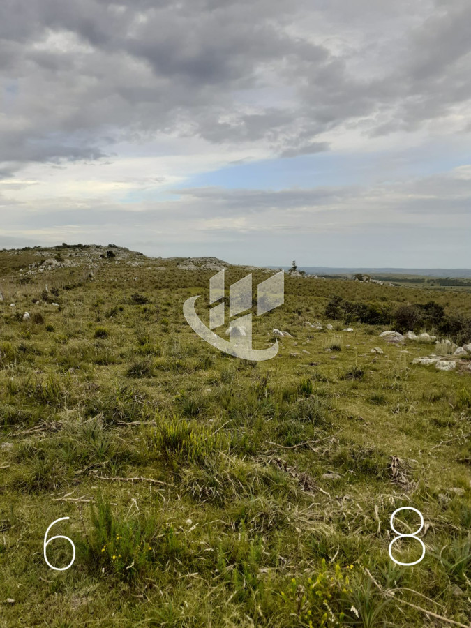 Chacra ID.1498 - CHACRAS EN VENTA 5 HAS A 30 KM DE SAN CARLOS RUTA 39 