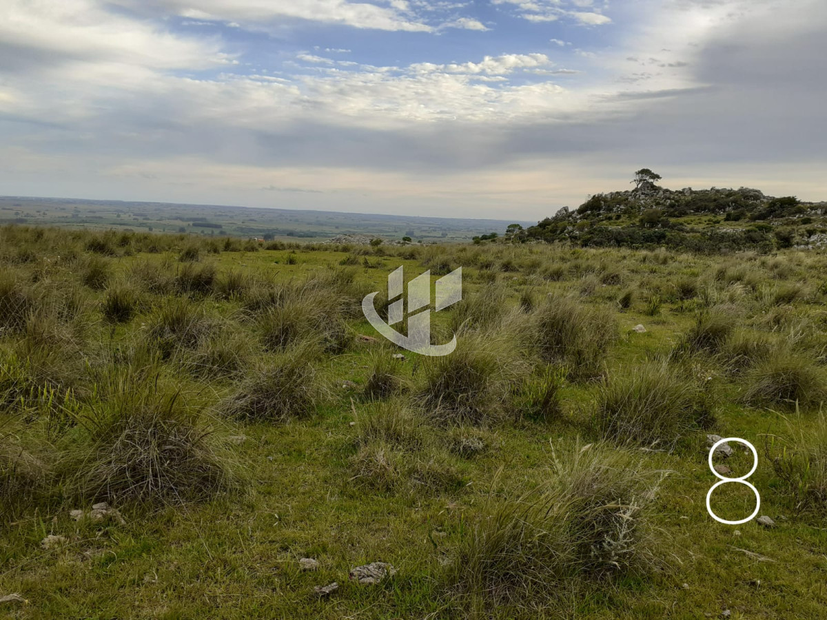 Chacra ID.1498 - CHACRAS EN VENTA 5 HAS A 30 KM DE SAN CARLOS RUTA 39 