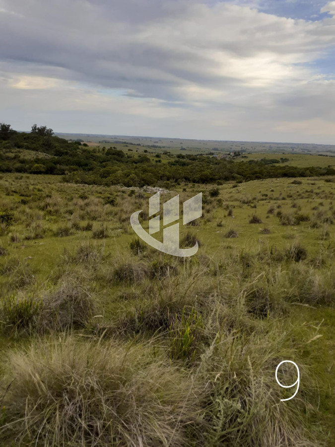 Chacra ID.1498 - CHACRAS EN VENTA 5 HAS A 30 KM DE SAN CARLOS RUTA 39 