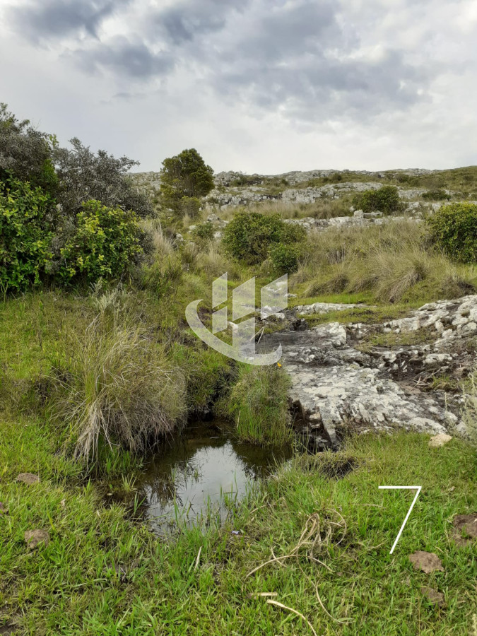 Chacra ID.1498 - CHACRAS EN VENTA 5 HAS A 30 KM DE SAN CARLOS RUTA 39 