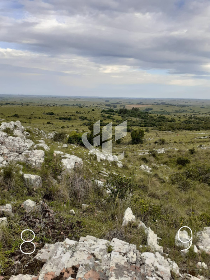 Chacra ID.1498 - CHACRAS EN VENTA 5 HAS A 30 KM DE SAN CARLOS RUTA 39 