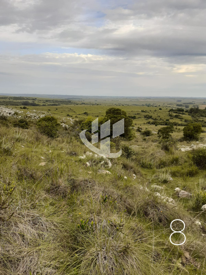 Chacra ID.1498 - CHACRAS EN VENTA 5 HAS A 30 KM DE SAN CARLOS RUTA 39 