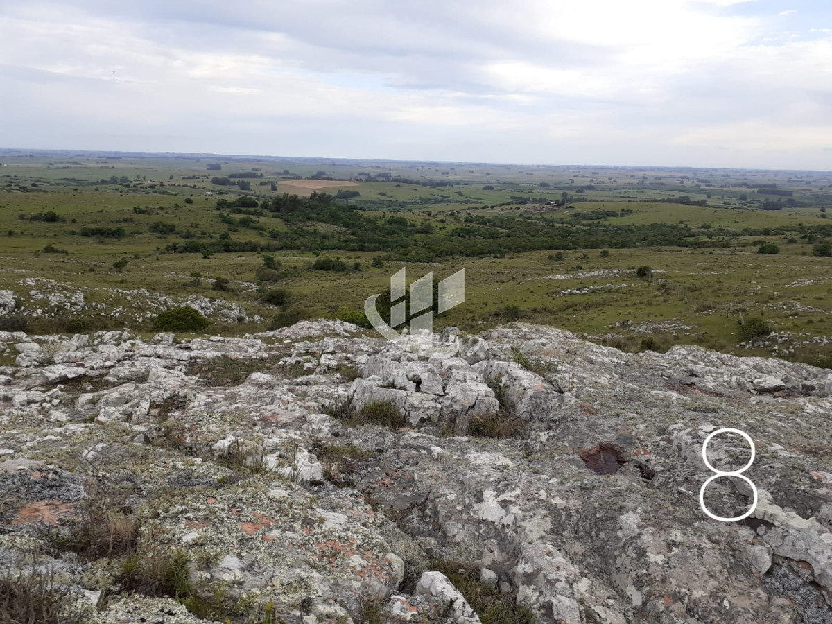 Chacra ID.1498 - CHACRAS EN VENTA 5 HAS A 30 KM DE SAN CARLOS RUTA 39 