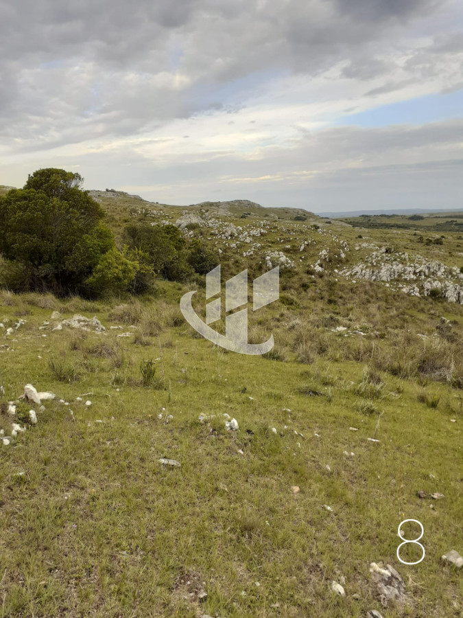 Chacra ID.1498 - CHACRAS EN VENTA 5 HAS A 30 KM DE SAN CARLOS RUTA 39 