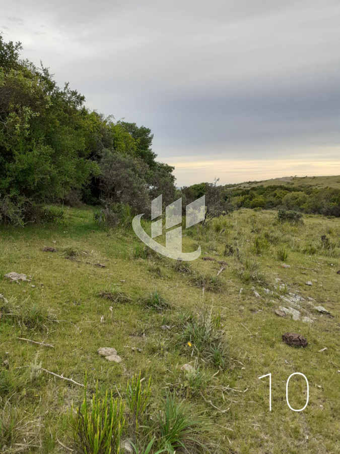 Chacra ID.1498 - CHACRAS EN VENTA 5 HAS A 30 KM DE SAN CARLOS RUTA 39 