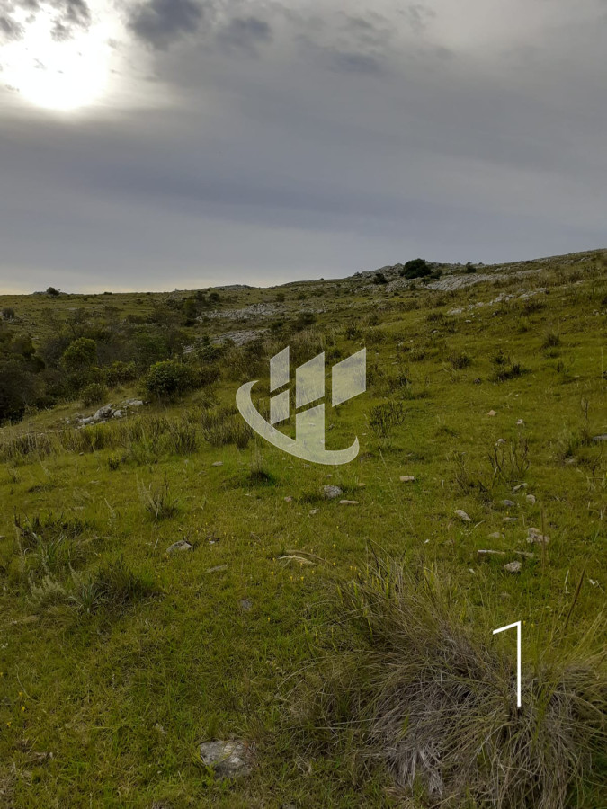 Chacra ID.1498 - CHACRAS EN VENTA 5 HAS A 30 KM DE SAN CARLOS RUTA 39 